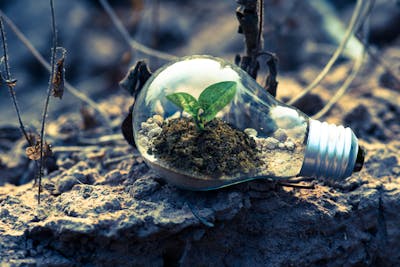Energy Efficiency